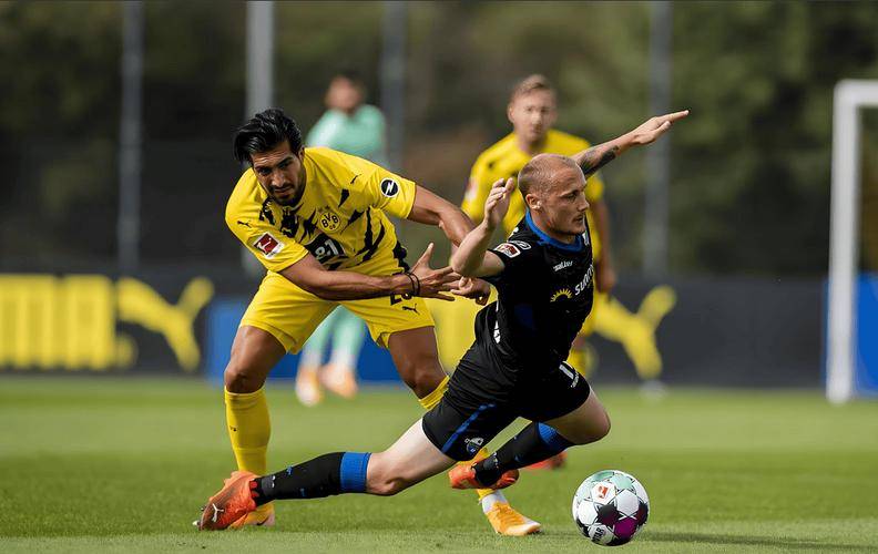 国际高水平球队对决,赛场观众目不暇接 国际高水平球队对决,赛场观众目不暇接