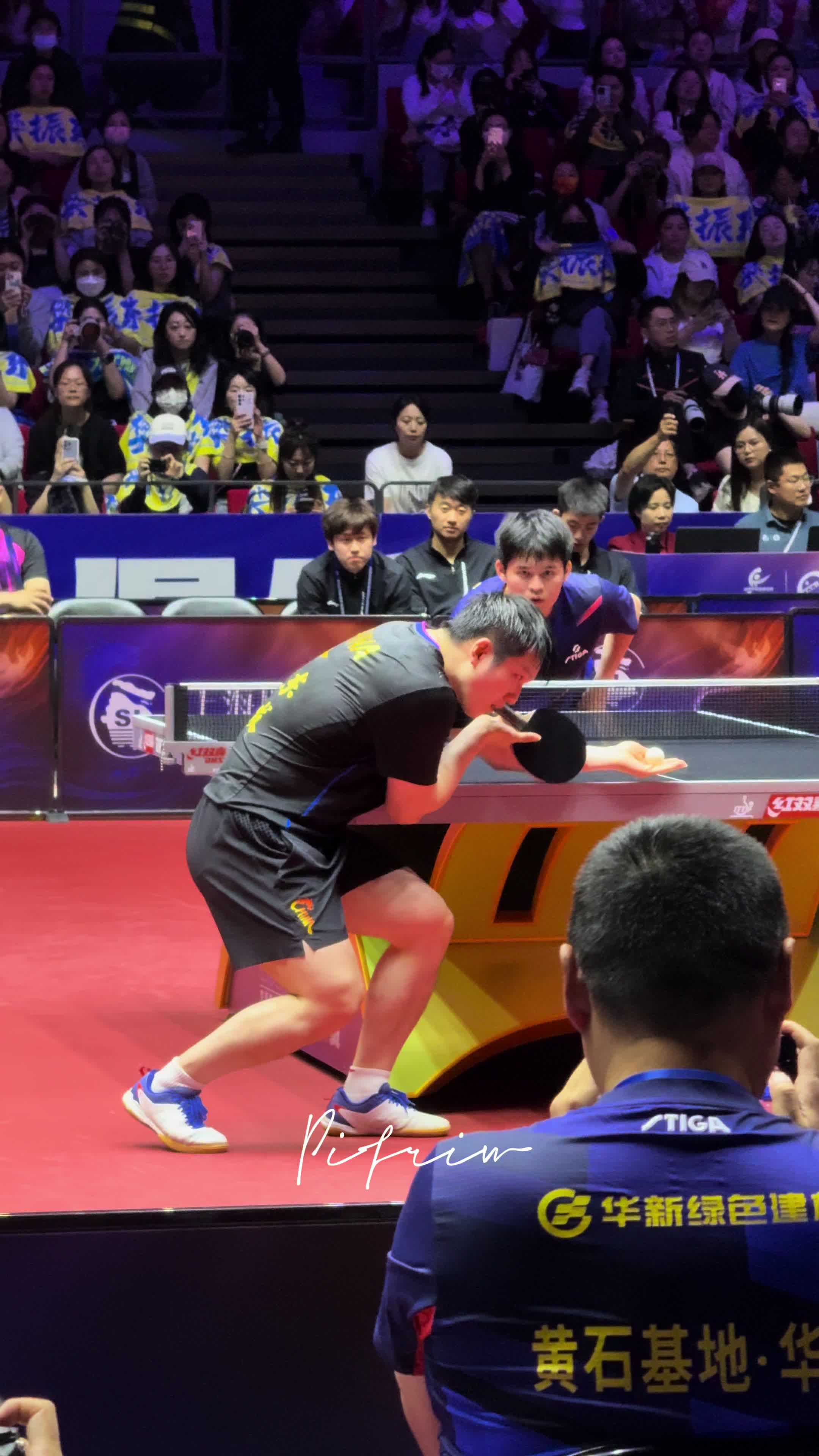 中国乒乓球队完胜日本乒乓球队,樊振东制霸全场的简单介绍 中国乒乓球队完胜日本乒乓球队,樊振东制霸全场的简单介绍